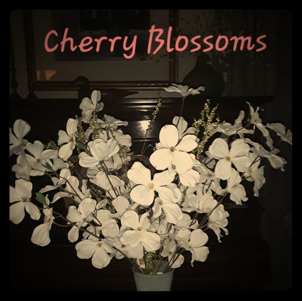 Faux Florals White/Pink long stem Cherry Blossoms